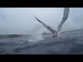 vidéos chasse sous marine hd