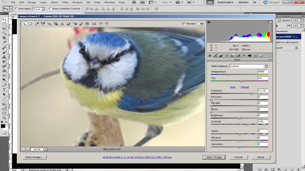 Как конвертировать из raw в jpeg
