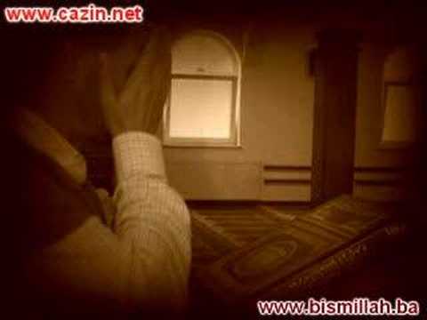 Fuad Abdullah Seferagić - Jecaj naja