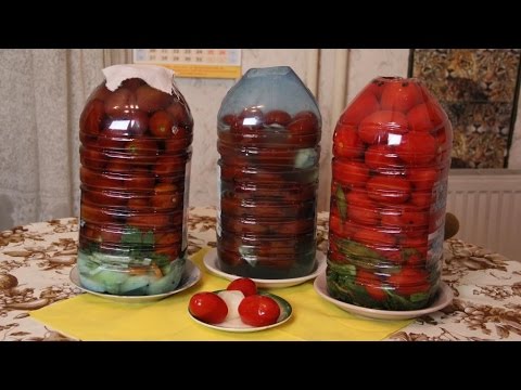 Рецепт быстрого салата из яиц с фото