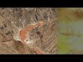 Namibia Erleben Teil 23 Der Fish River Canyon images Namibia Erleben Teil 23 Der Fish River Canyon