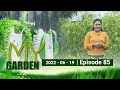 My Garden 19-06-2022