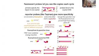 RT-qPCR (Reverse Transcription/Real Time - quantitative Polymerase Chain Reaction) theory & practice