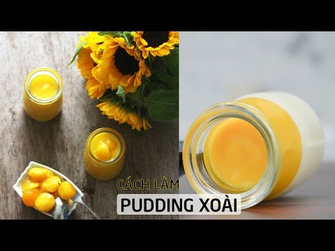 Cách làm pudding xoài với máy xay sinh tố