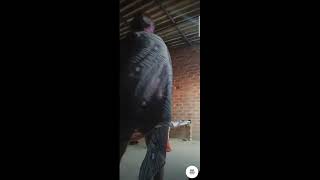 Tango Live Video Call See Periscope Live Video 103 Anjali Live Show