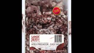 Watch Napalm Death Apex Predator  Easy Meat video