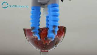 Gripping Tomatoes in Fluids