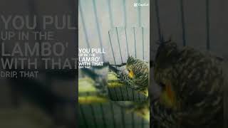 Vapurummm