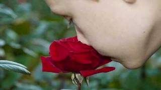Watch Natasha Bedingfield Smell The Roses video