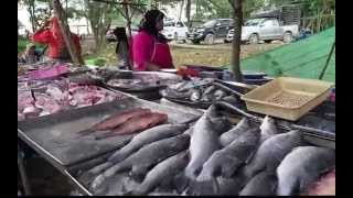 KOH LANTA, THAILAND: Tour Of Amazing Farmers Market