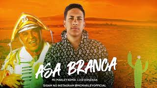 Mc Marley - Luiz Gonzaga - Asa Branca Noite De São João