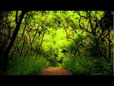 Jiv Rangala - Jogwa