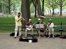 Tin Pan Blues Band in Central Park