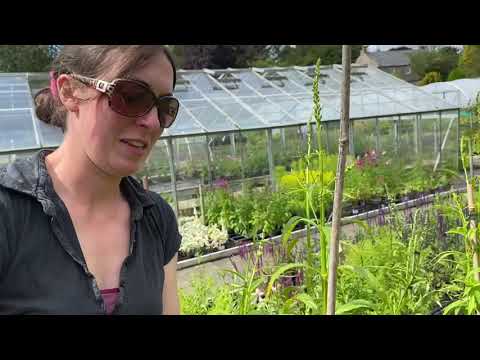 The English Nursery Garden Year...Week 30