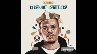 Ziddo - Tumaini Afro House Source