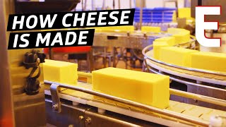 How Cheddar Cheese Is Made In a Factory — The Process How Cheddar Cheese Is Made In a Factory — The Process