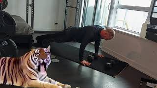 plyo-pushps. For all our online demand workouts checkout gordysbootcamptoronto.com