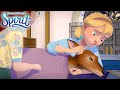 The Vet Is In | SPIRIT RIDING FREE
