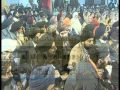 Aaye Mil Gursikh [Full Song] Amritsar Satgur Satwadi