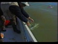 Delta Urala Ribolov Bucova Smu A I Soma images Delta Urala Ribolov Bucova Smu A I Soma
