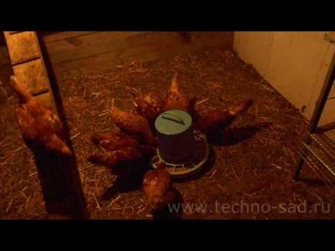 Как сделать дозатор для корма Как сделать дозатор для корма