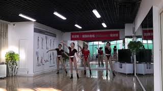 Asian Women Aerobic Training In Thong Leotard And Shiny Tights