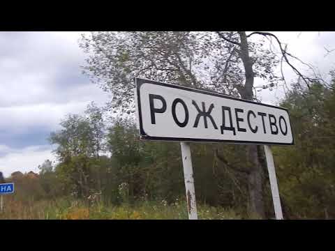 Когда чума на дворе Когда чума на дворе