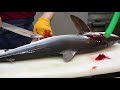 Japanese Street Food - SHARK CHEESEBURGERS Cheese Meatballs Okinawa Seafood Japan