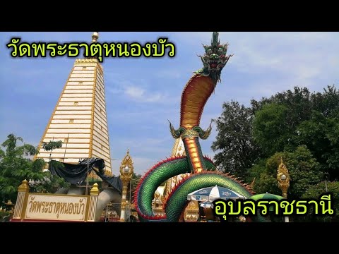 วัดพระธาตหนองบัว อุบลราชธานี | วัดหนองบัว พระธาตุเจดีย์ศรีมหาโพธิ์ อุบลฯ