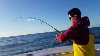 albie using 9'6" Black Hole Suzuki Special/IRT300 combo