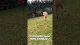 kt2GbMYJFFw Video Image