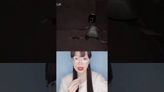Misteri Suster Gepeng Mengerikan Di Sebuah Rumah Sakit Zaman Dulu Esterviona