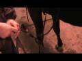 Tips of the Trade: Hanging Hobbles -- USTA Harness Racing