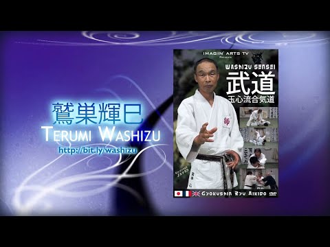 Washizu Sensei : Aikido Gyokushin Ryu