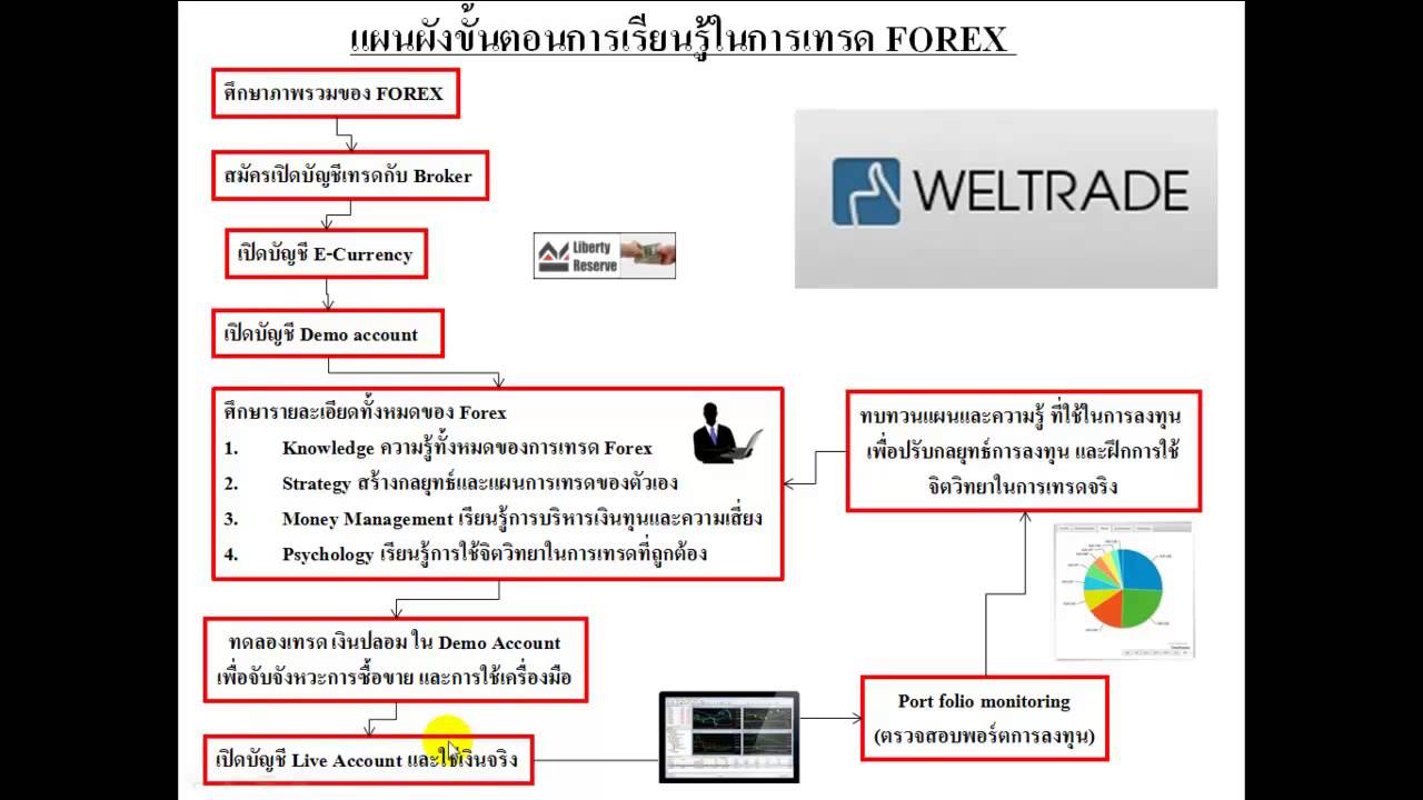 Forex market model
