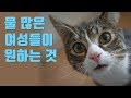물많은(+체형)여성들이 단단하고굵은걸찾는다