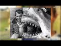 Biggest Great White Sharks Ever Biggest Great White Sharks Ever