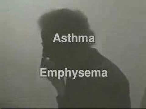 Air Pollution Video