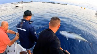 200 Kilo Balık Yakaladık / Giant Bluefin Tuna Catch