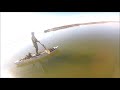 jackson kayak big rig