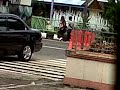 Kecil2 Udah Pacaran images Kecil2 Udah Pacaran