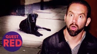 Nick Tries To Befriend The Ghost Of A Dog Called Bruce | Paranormal Lockdown UK