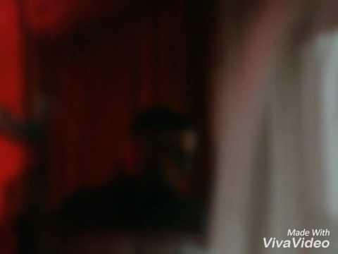 Brudi Namens Fuffi Video