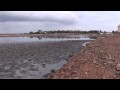 The Destruction of a Salina 'wetland' on Bonaire