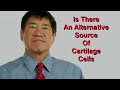 The amazing trick that turns stem cells into cartilage!