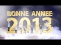 carte de voeux 2013 - bonne année 2013 studio tlv
