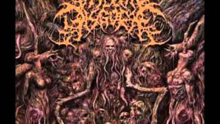 Watch Visceral Disgorge Maggot Infested Fuck Hole video