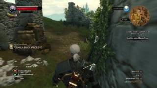 The Witcher 3 Blood And Wine - Librarians Memoirs Black Armor Dye Diagram Location Gameplay Ps4