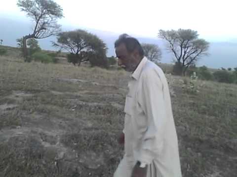 BHULA DAIN GAY TUM KO SANAM...