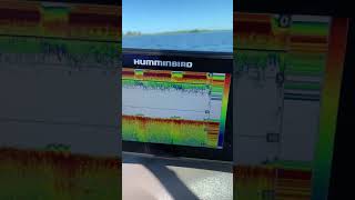 Humminbird Helix 7 Issue